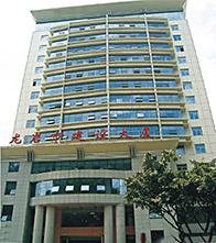 福建龍巖是建設大廈地基處理工程